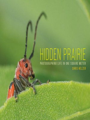 cover image of Hidden Prairie
